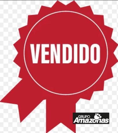 Imagem Principal